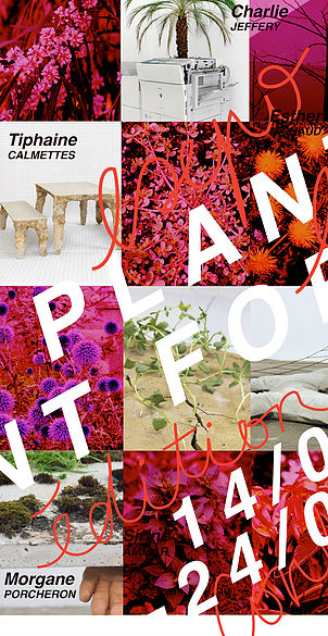 Plant Form – Mauvaises herbes et paysage urbain